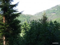 /album/fotogaleria/a13-marec-2009-040-jpg/